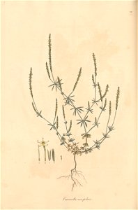 n117_w1150