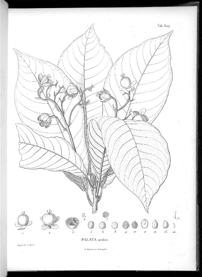 n613_w1150