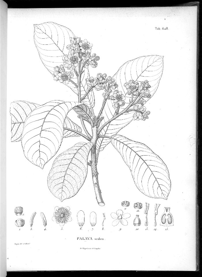 n612_w1150