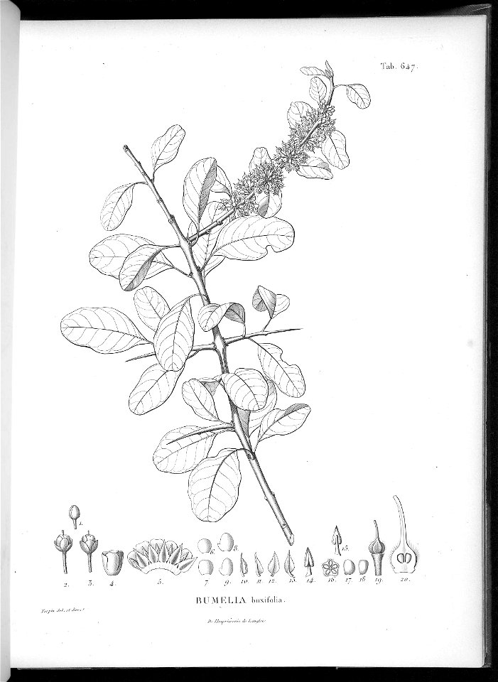 n610_w1150
