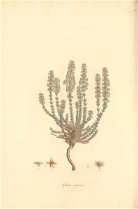 n105_w1150