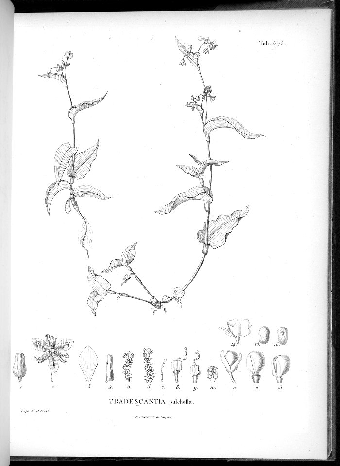n639_w1150