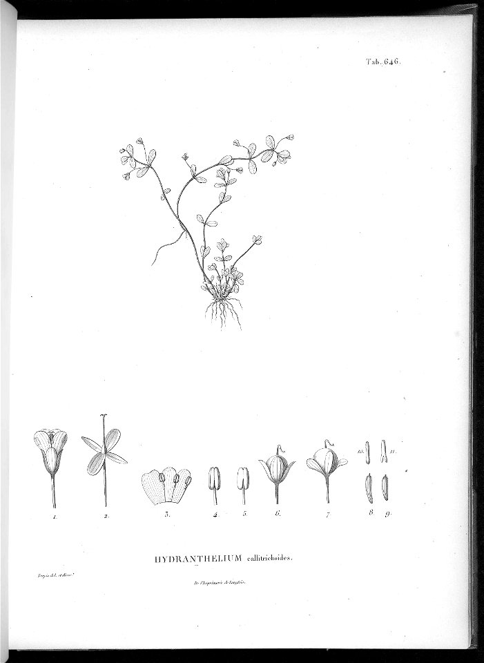 n609_w1150