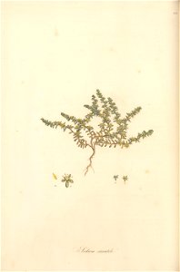n143_w1150
