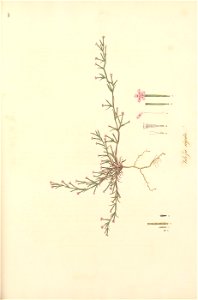 n266_w1150