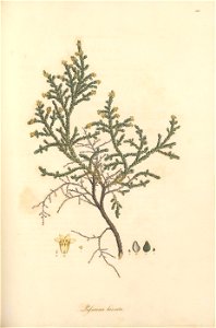 n178_w1150