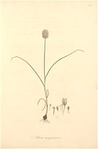n50_w1150
