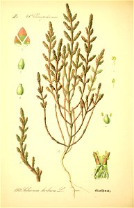 n123_w1150