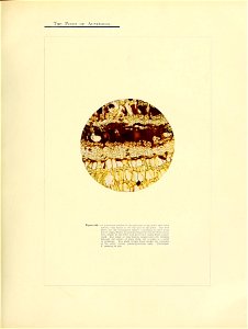 n214_w1150