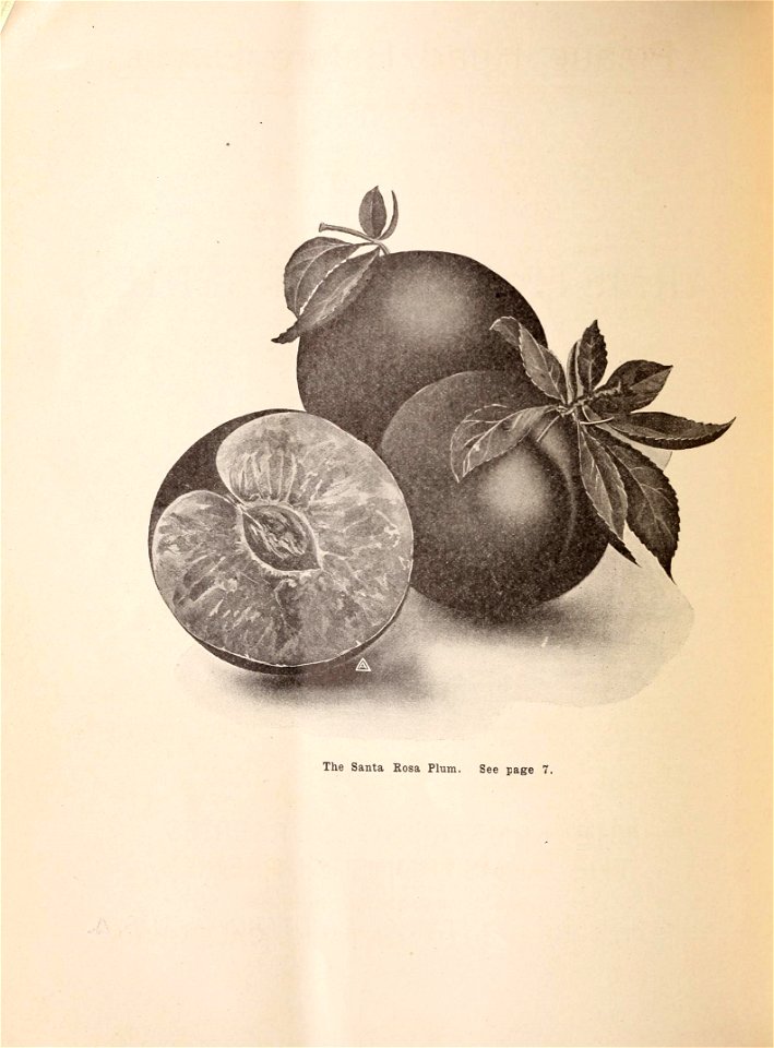 n5_w1150