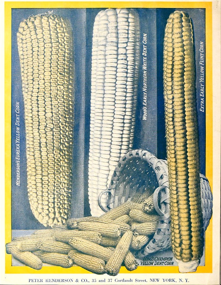 n23_w1150