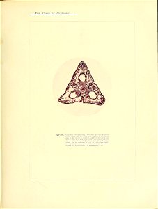 n306_w1150