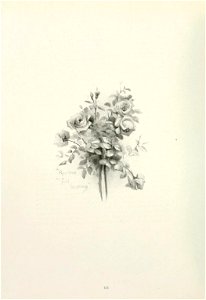 n87_w1150