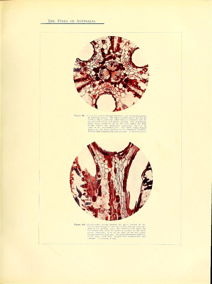 n206_w1150