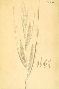 n128_w1150
