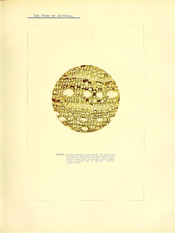 n186_w1150