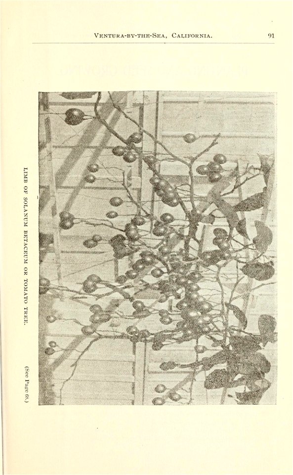 n96_w1150