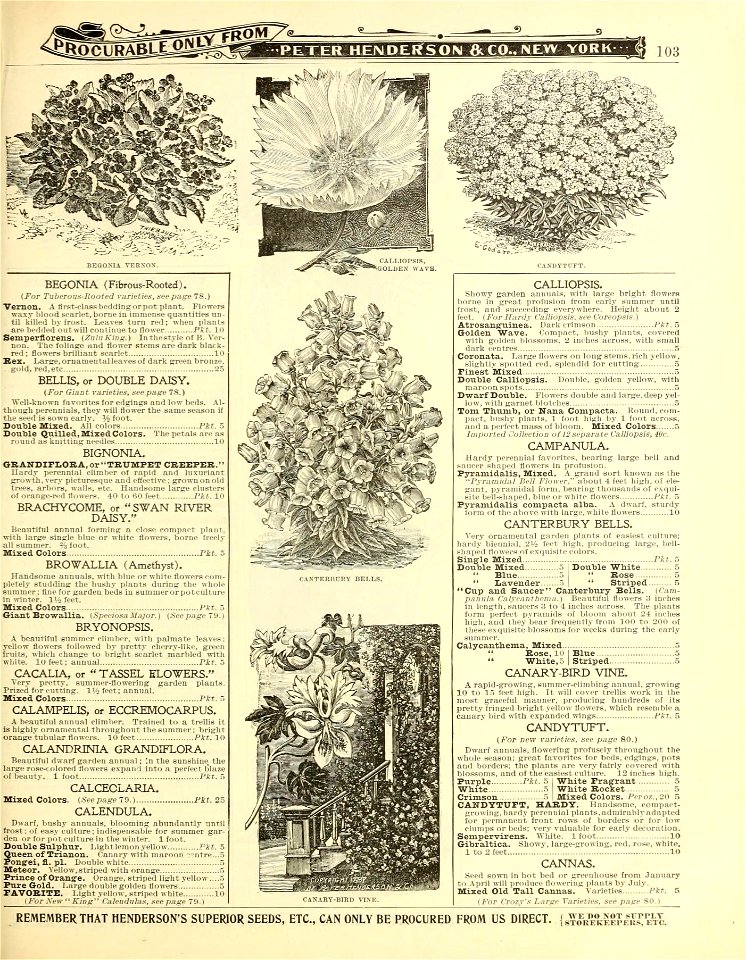 n106_w1150
