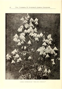 n69_w1150
