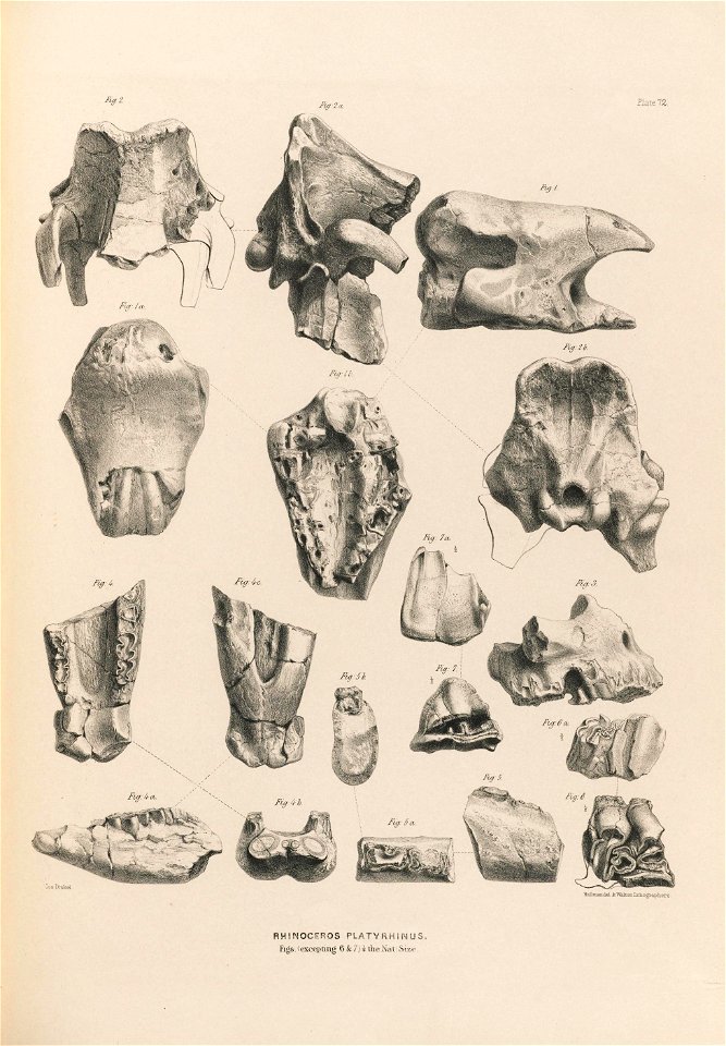 n186_w1150