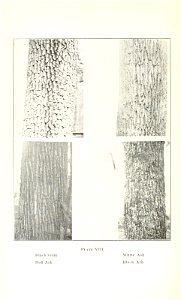 n267_w1150