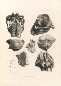 n118_w1150