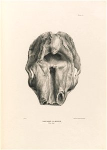 n116_w1150