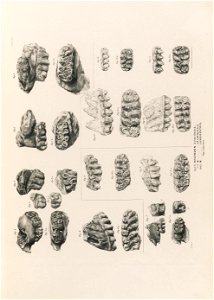 n112_w1150