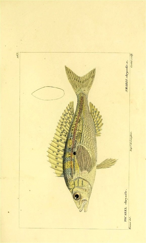 n58_w1150