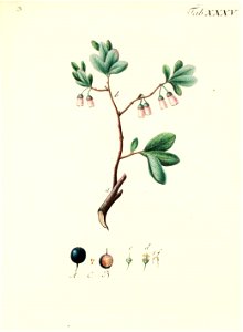 n590_w1150