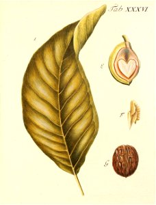 n362_w1150