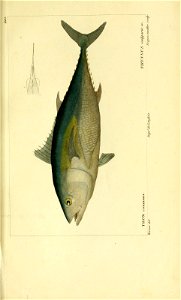 n146_w1150