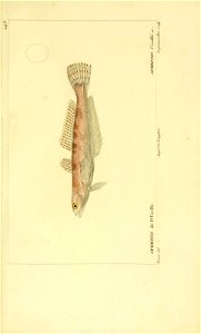 n212_w1150