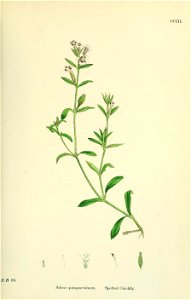 n156_w1150