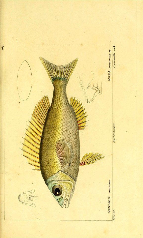 n56_w1150