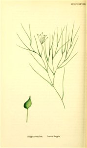 n159_w1150