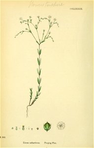 n453_w1150