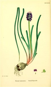 n507_w1150