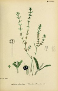 n506_w1150