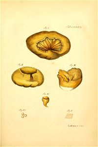 n196_w1150
