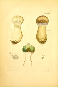 n213_w1150