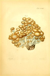 n179_w1150
