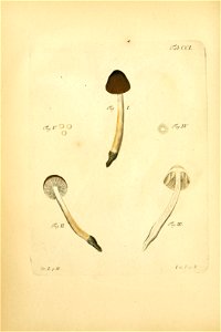 n163_w1150