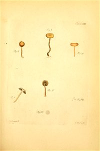 n118_w1150