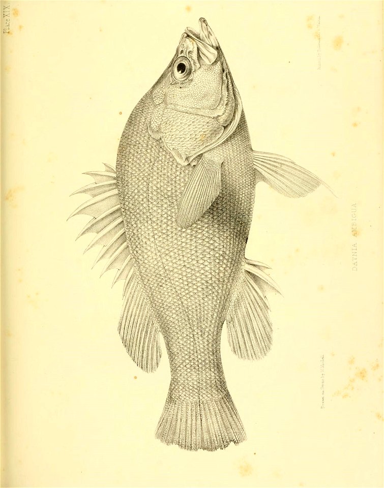 n326_w1150