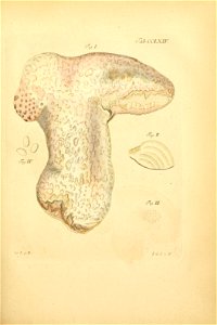 n178_w1150