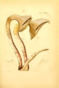n162_w1150