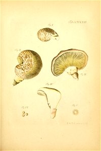 n146_w1150