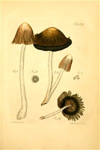 n116_w1150