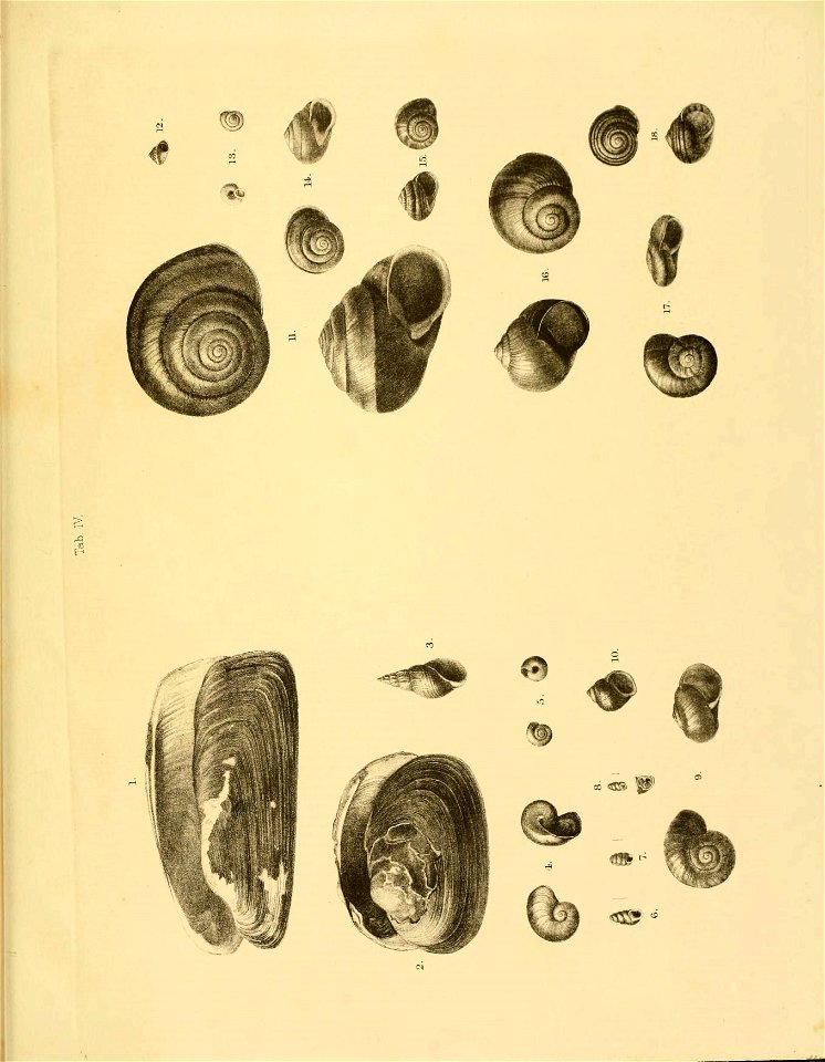 n442_w1150